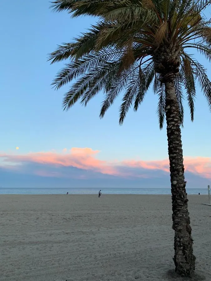 Seafront Penthouse Almeria Roquetas de Mar 0*,  Spain